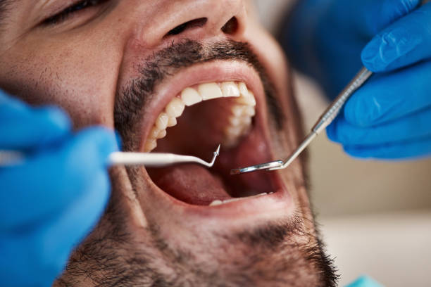 Best Emergency Denture Repair in New Town, ND