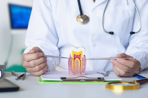 Best Emergency Gum Treatment in New Town, ND